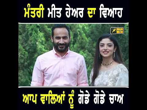 ਮੰਤਰੀ ਮੀਤ ਹੇਅਰ ਦਾ ਵਿਆਹ  #punjabinews