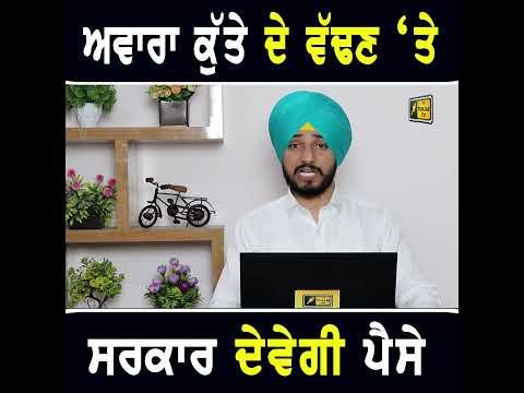ਹਾਈਕੋਰਟ ਦਾ ਵੱਡਾ ਫੈਸਲਾ #punjabinews