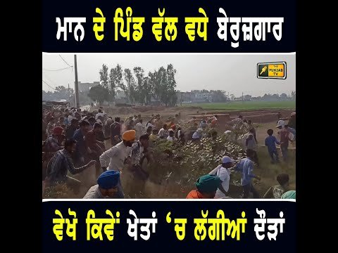 ਮੁੱਖ ਮੰਤਰੀ ਭਗਵੰਤ ਮਾਨ ਦੇ ਪਿੰਡ ਵੱਲ ਜਾਂਦੇ ਬੇਰੁਜ਼ਗਾਰਾਂ ਨਾਲ ਵੇਖੋ ਕੀ ਬੀਤੀ Protest at Bhagwant Maan village