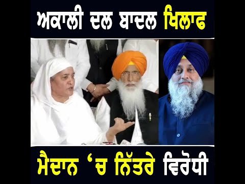 SGPC ਦੇ ਪ੍ਰਧਾਨ ‘ਤੇ ਬੀਬੀ ਜਗੀਰ ਕੌਰ ਦਾ ਵੱਡਾ ਐਲਾਨ Bibi Jagir Kaur on SGPC President | The Punjab TV