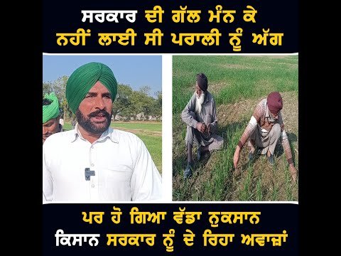 ਕਿਸਾਨ ਨੇ ਮੰਨੀ ਸਰਕਾਰ ਦੀ ਗੱਲ ਪਰ ਹੋ ਗਿਆ ਨੁਕਸਾਨ Farmer appeal to CM Bhagwant Maan Govt | The Punjab TV