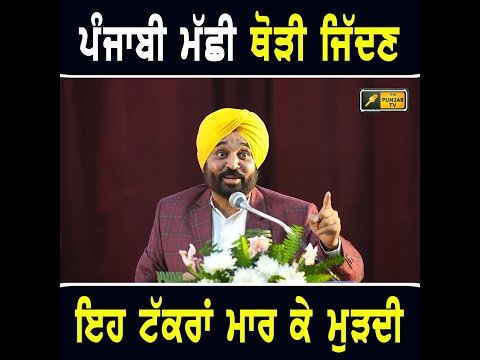 ਮੁੱਖ ਮੰਤਰੀ ਭਗਵੰਤ ਮਾਨ ਦਾ ਪੰਜਾਬੀਆਂ ਬਾਰੇ ਵੱਡਾ ਬਿਆਨ CM Bhagwant Maan on people of Punjab | The Punjab TV