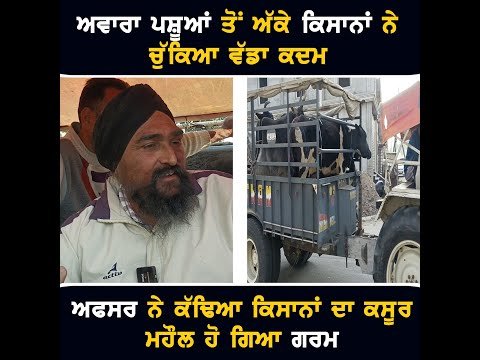 ਅੱਕੇ ਕਿਸਾਨਾਂ ਨੇ ਚੁੱਕਿਆ ਵੱਡਾ ਕਦਮ, ਮਹੌਲ ਗਰਮ Farmers ANGRY on Govt | CM Bhagwant Maan | The Punjab TV