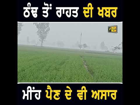 ਛੇਤੀ ਮਿਲੇਗੀ ਠੰਢ ਤੋਂ ਰਾਹਤ #punjabinews