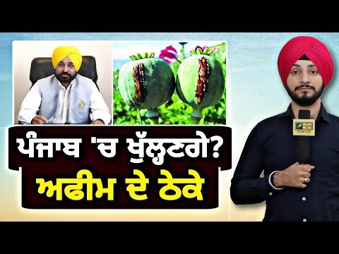 ਮੁੱਖ ਮੰਤਰੀ ਭਗਵੰਤ ਮਾਨ ਚੁੱਕਣਗੇ ਵੱਡਾ ਕਦਮ? CM Bhagwant Maan will take decision | Judge Singh Chahal