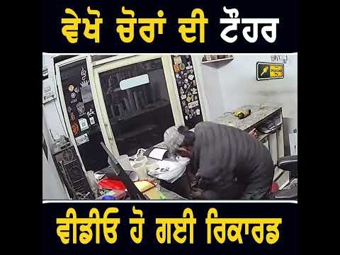 ਵੇਖੋ ਚੋਰਾਂ ਦੀ ਟੌਹਰ #punjabinews