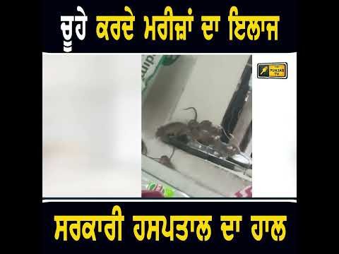 ਵੇਖੋ ਸਰਕਾਰੀ ਹਸਪਤਾਲ ਦਾ ਹਾਲ #punjabinews