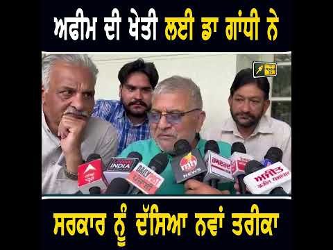 ਅਫੀਮ ਦੀ ਖੇਤੀ ਲਈ ਡਾ ਗਾਂਧੀ ਦੀ ਸਰਕਾਰ ਤੋਂ ਮੰਗ #punjabinews