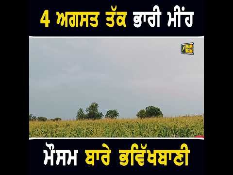 4 ਅਗਸਤ ਤੱਕ ਮੀਂਹ ਦੀ ਭਵਿੱਖਬਾਣੀ #weather