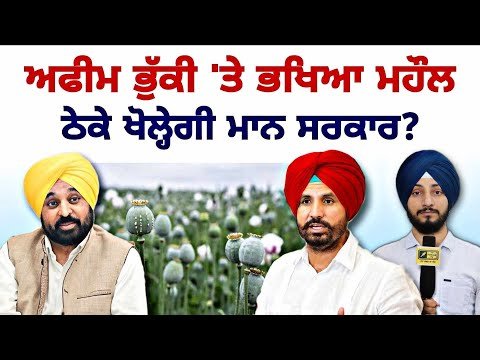 ਅਫੀ ਮ ਭੁੱ ਕੀ ਦੀ ਇਜਾਜ਼ਤ ਦੇਣ ‘ਤੇ ਕੀ ਬੋਲੀ ਮਾਨ ਸਰਕਾਰ? CM Bhagwant Maan Govt Reply | Judge Singh Chahal